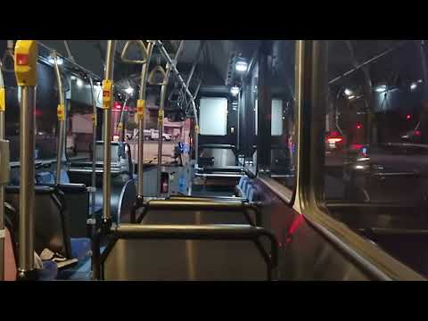 Transdev NSW m/o 5341 - Volvo B7RLE • Voith.