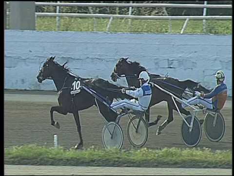 Trotto 02/06/2016 - 7° corsa