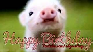Cute Little Pig Singing Happy Birthday Song