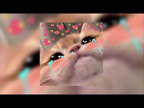 Kalenn - Tema Triste de Karaoke ( Sped up )