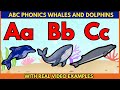 ABC Whales Dolphins Fun ABC Phonics Learning With Sea Animals For Kids