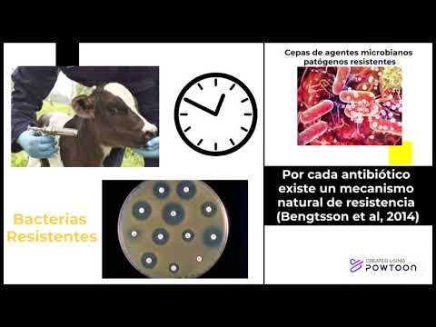 ¿Cuáles son las consecuencias del uso indiscriminado de antibióticos en animales de granja?