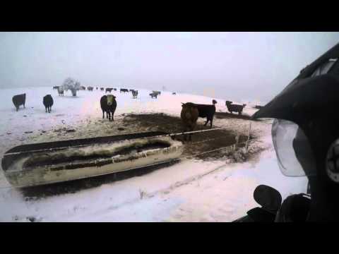 Schneetour am 06.01.2016