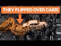 The Crazy Story Of A Car Free Street In Amsterdam