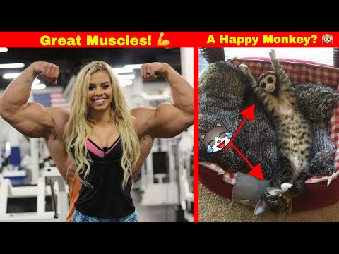 download lagu mp3 mp4 Tricky Photos, download lagu Tricky Photos gratis, unduh video klip Tricky Photos