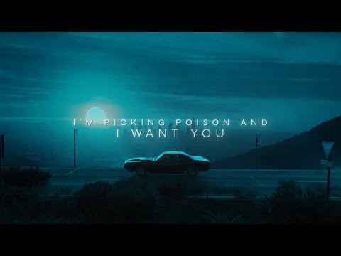 NURKO feat. Iann Dior - I Want You (Official Lyric Video)