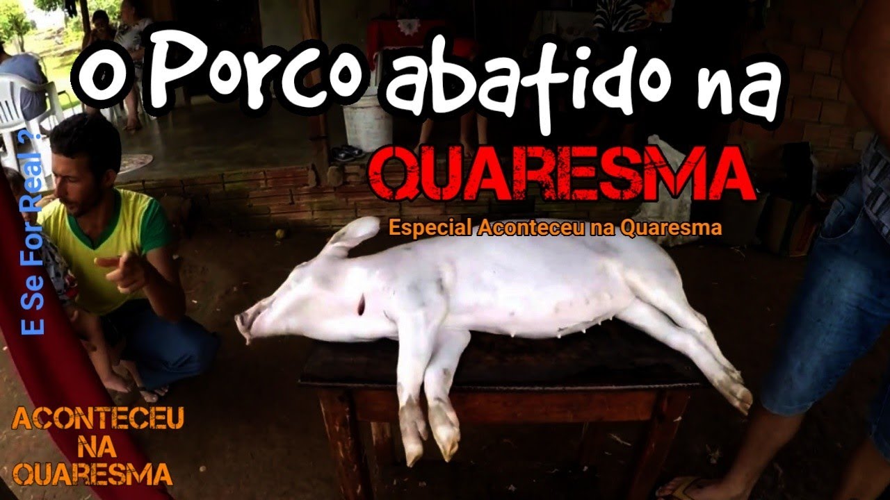 O que será que era aquilo ?