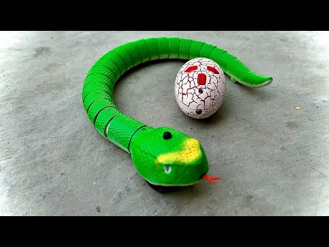 Rc Snake Green Unboxing And Testing #rccar #rcsnake #toys #snake
