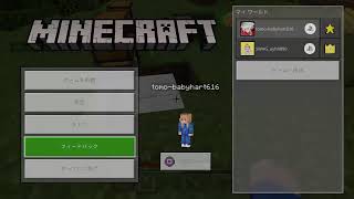 ［マイクラ配信］参加型　PS4　まったりライフ　初見さん大歓迎!！