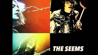 THE SEEMS (Buysexual)