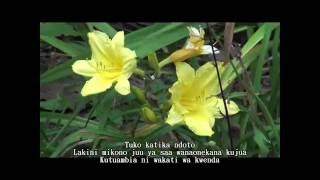 "People In Love" - soulful rendition of the 10cc tune by Joyce Berry - Swahili subtitles