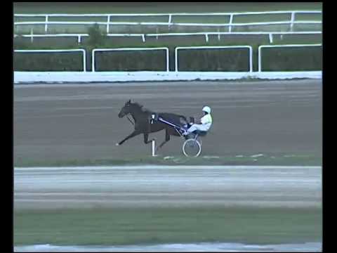 Trotto 28/09/2014 - 2° prova di riqualifica