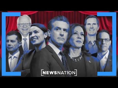 Dean Phillips: There is still no leading issue for the Democrats | On Balance