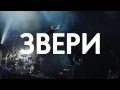 Звери приглашают на концерт 6 июня в Москве! 