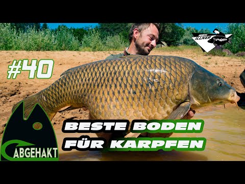 CHECKED OUT #40: THE BEST GROUND FOR CARP :-)