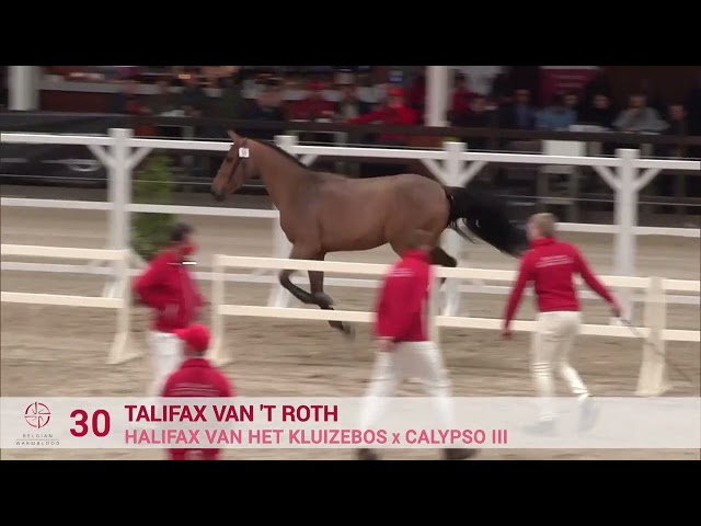 TALIFAX VAN 'T ROTH