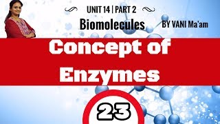 Concept of Enzymes I Part- 23 I Biomolecules |chemistry cbse class XII |tricks |