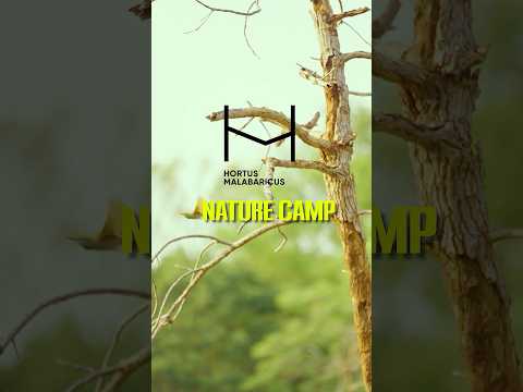 Hortus Malabaricus Nature Camp Promo