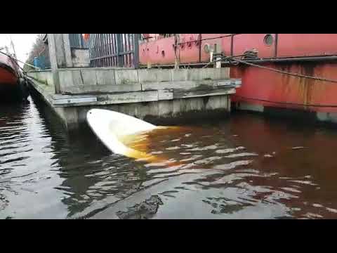 Storm  bootje  gezonken reddings aktie januari 2018