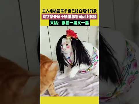主人給橘貓展示自己給白貓化的妝，每次拿開帘子橘貓都緩緩閒上眼睛，大橘：眼前一黑又一黑 #宠哈哈