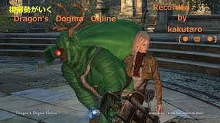【女性実況】DDON#9【顔出し配信】