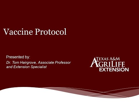 Vaccine Protocol for Beef Cattle Quad Co Cattlemens 5...