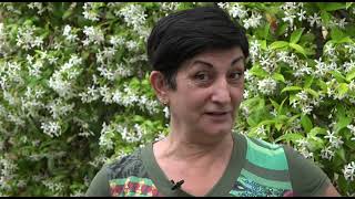 Video 1 Reciclatge
