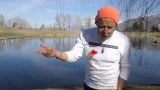 Fukushima breaking news; between 800 and 4000 Fukushima WORKERS DEAD, kevin D. blanch 2/26/14