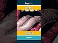 tongue - lengua video thumbnail
