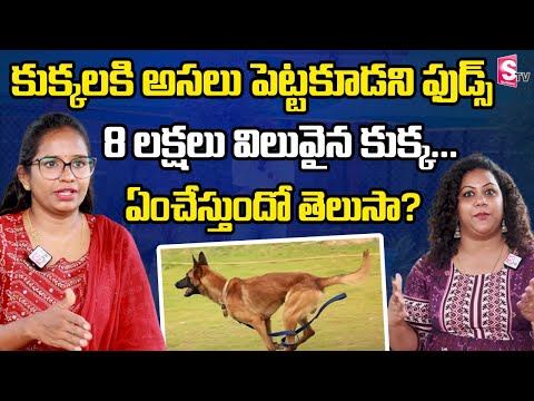 Madhulika about Progressive Canines Dog Training | Manjusha | SumanTV
