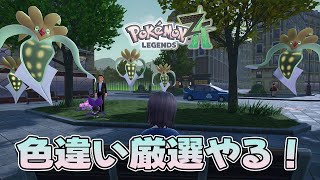 【ポケモン】色違い厳選！ランクマもやるかも #8【レジェンズZ-A】