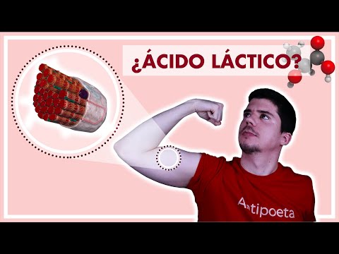 La CIENCIA de las AGUJETAS