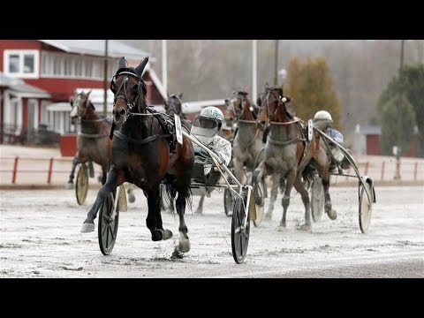 MISSLE HILL & ORJAN KIHLSTROM WINNER - AKE SUNDBERG 1928 - RATTVIK 01/05/2020