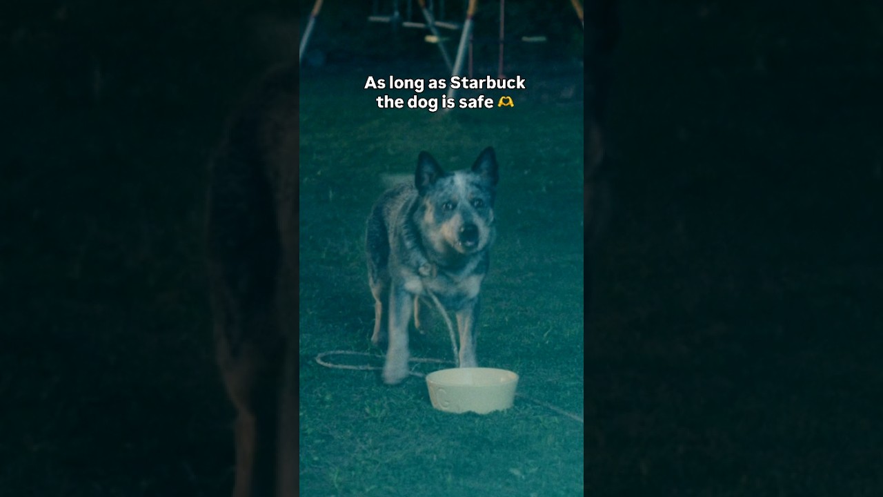 Video náhled