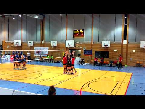 Sieg der Stralsunder Wildcats gegen Snowtrex Köln 2. Bundesliga Volleyball