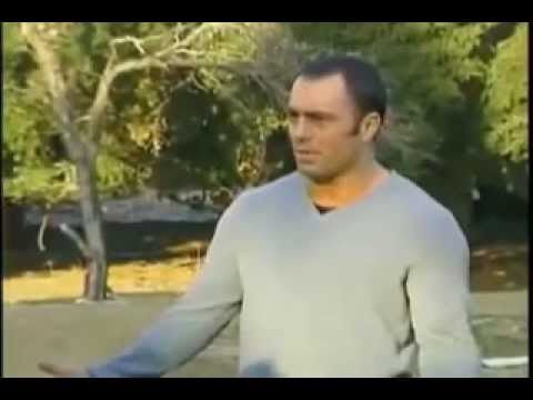 JOE ROGAN FIGHTS ON THE FEAR FACTOR