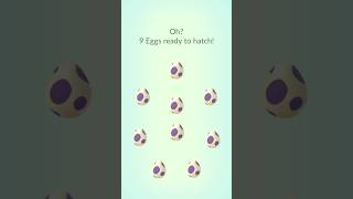 Hunting Shiny Charcadet From 10 km Eggs In Pokemon Go!!! #pokemongo #shinypokemon