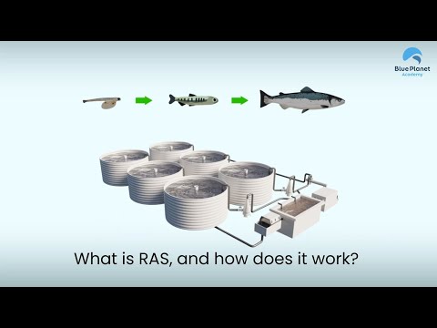 What is RAS? How It Works