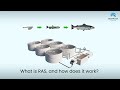 What Is RAS How It Works