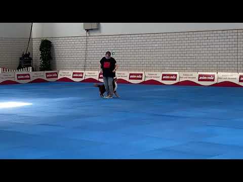 19-05-2019 - Dortmund - Klasse 1 - Kirsten & Flint