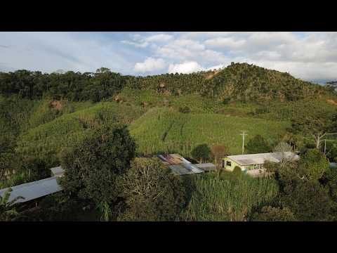 Finca Mariquita, Tolima. Vereda La Mesa.