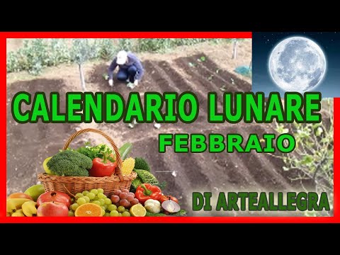 Dolore dalla schiena nella regione lombare del lato sinistro Lato dolente destro sulla parte superiore della schiena