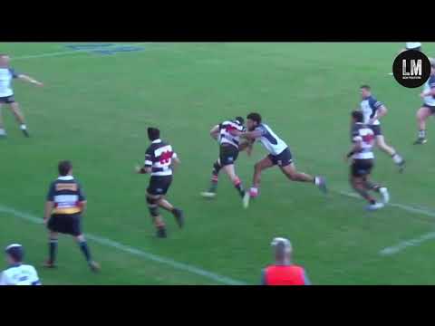 Devan Stoltz Shute Shield Highlights