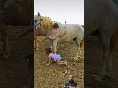 #gado #sabiadocampo #vidanocampo #fazenda #agro #cavalo #manco #mercadoagricola