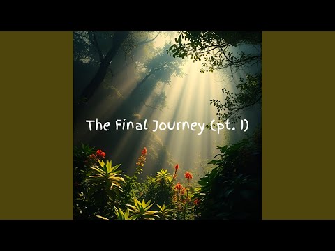 The Final Journey (Part 1)