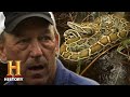 Swamp People Serpent Invasion Troy Hunts MASSIVE Snakes Deep In Everglades Season 2 History