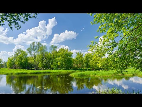 ENISA & Wenzl McGowen - Disco Cone (Take it High)