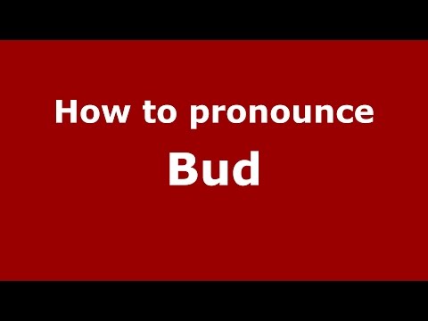 How to pronounce Bud