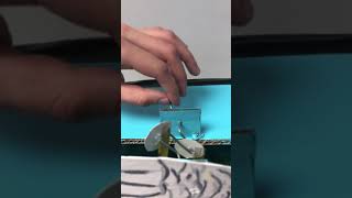 Swan Lake Toy