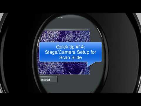 Quick tip #14 - Scan Slide Setup